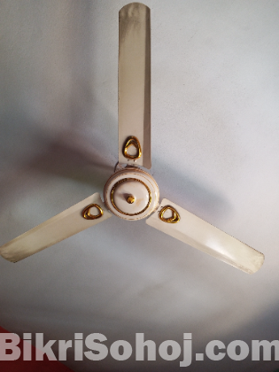 পাকিস্তানি ফ্যান